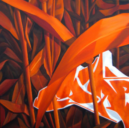 Maisdare in orange | 2005 | 60 x 60